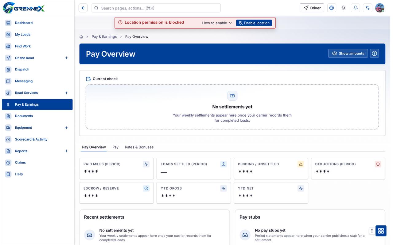 Pay Overview tab